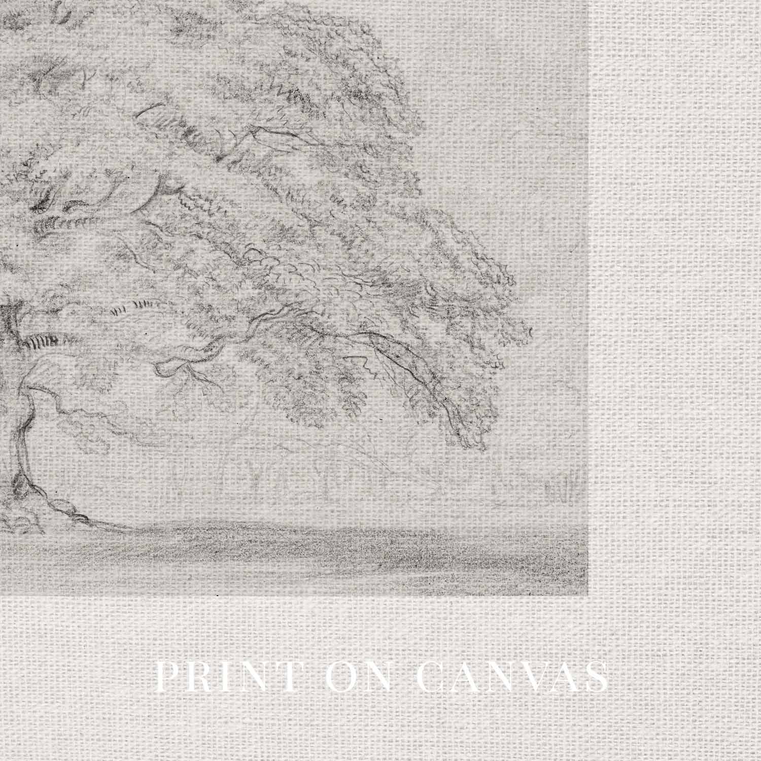 Horizontal Oak Tree Landscape Wall Art Printable | Antique Pencil Sketch Print