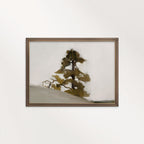 Minimal Rustic Sequoia Tree Printable Wall Art
