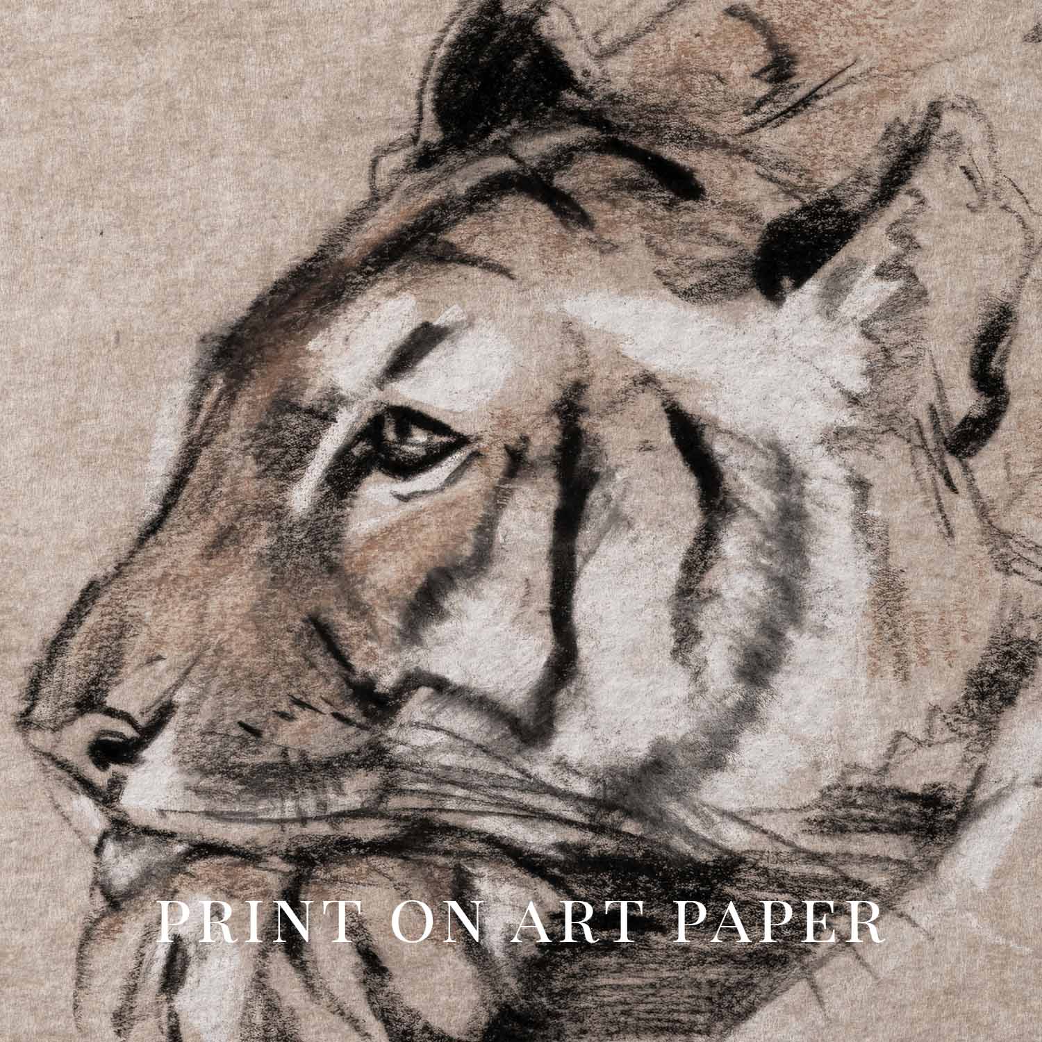Tiger Portrait Wall Art Printable | Antique Pencil Sketch Wildlife Print