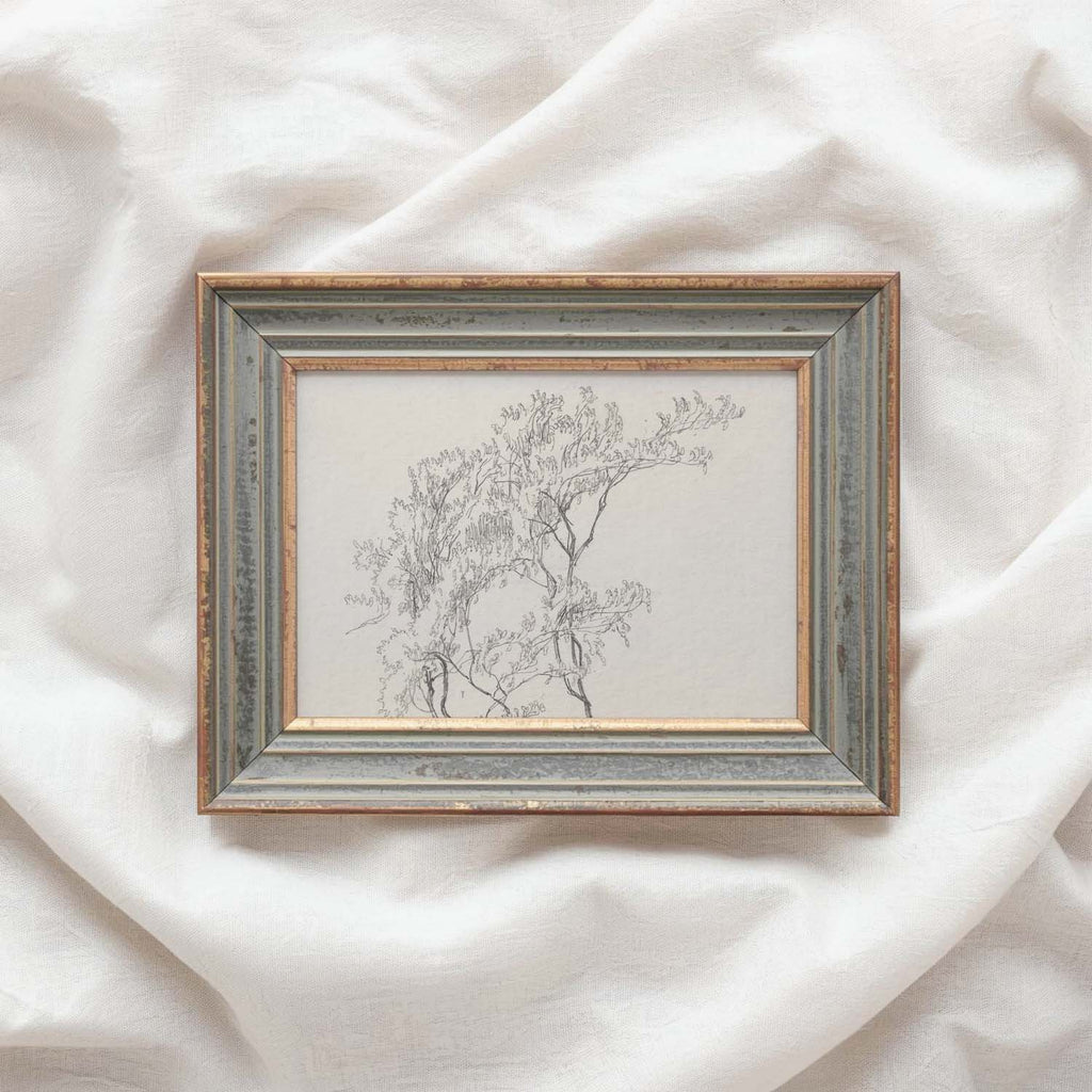 Tree Branch Wall Art Printable | Vintage Botanical Pencil Sketch Print