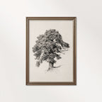 Antique Oak Tree Wall Art Printable | Minimal Botanical Pencil Sketch Print
