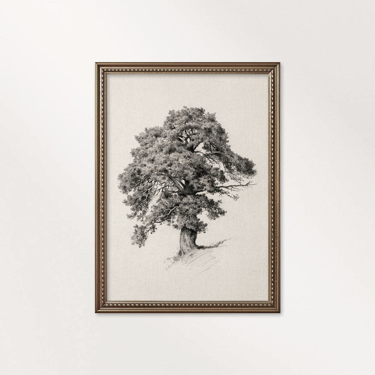 Antique Oak Tree Wall Art Printable | Minimal Botanical Pencil Sketch Print
