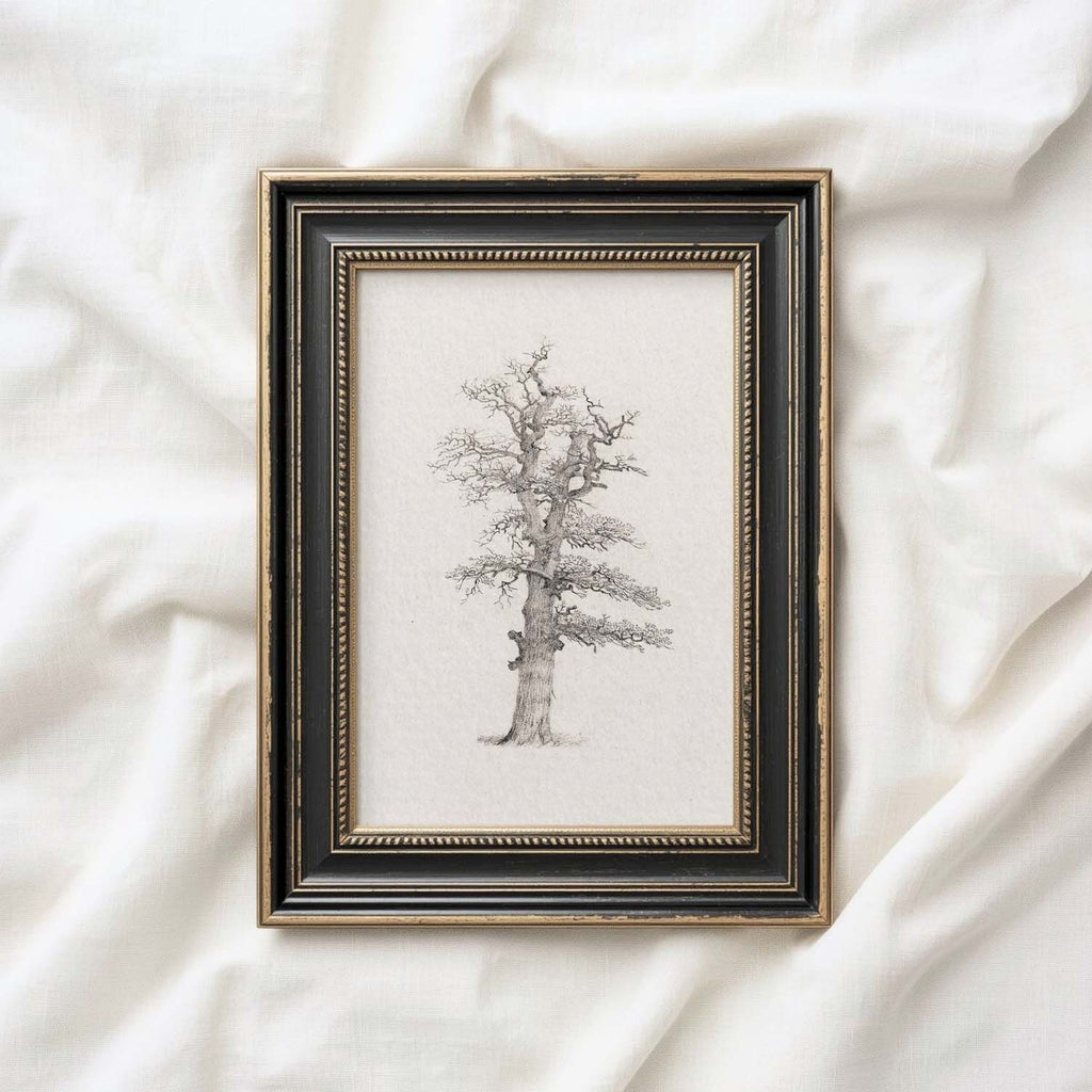Winter Oak Tree Wall Art Printable | Antique Minimal Pencil Sketch Print