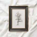 Winter Oak Tree Wall Art Printable | Antique Minimal Pencil Sketch Print
