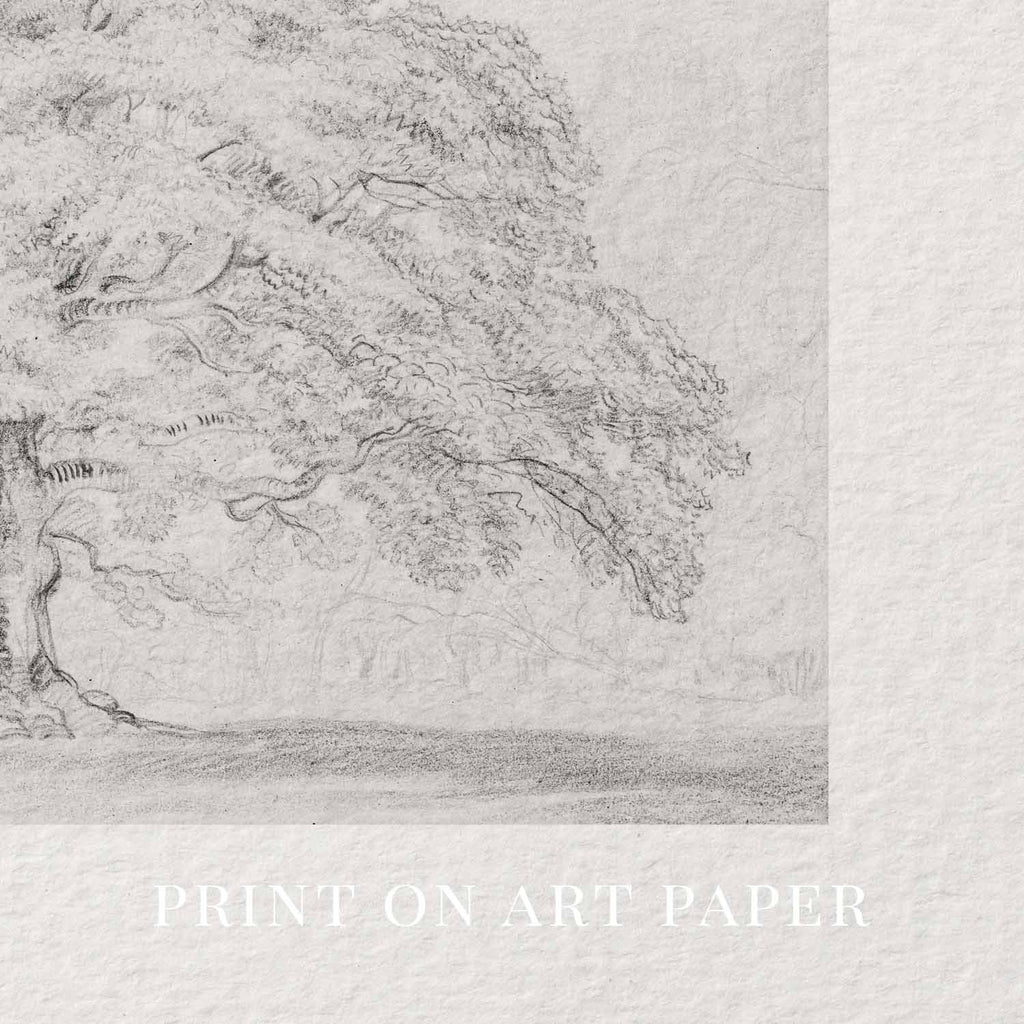 Horizontal Oak Tree Landscape Wall Art Printable | Antique Pencil Sketch Print