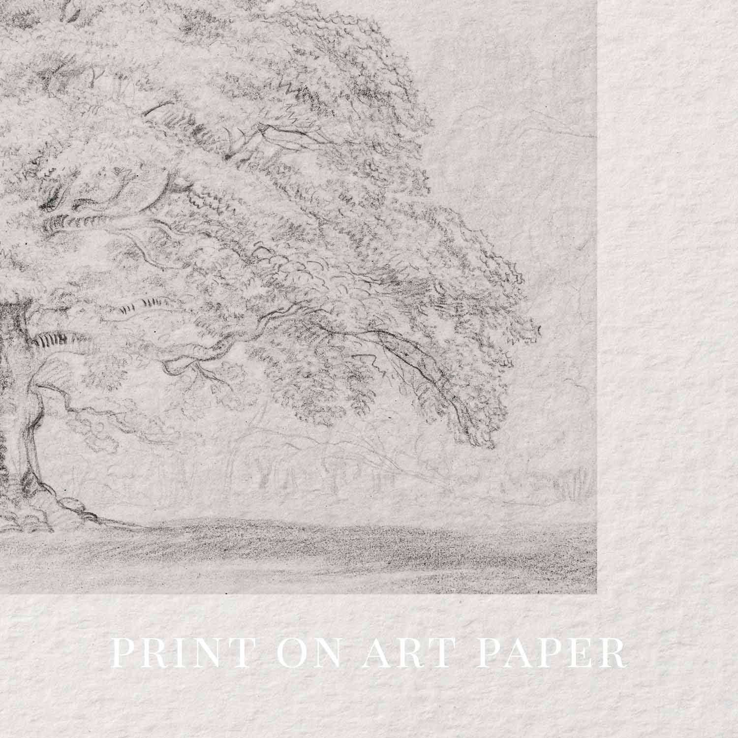 Horizontal Oak Tree Landscape Wall Art Printable | Antique Pencil Sketch Print
