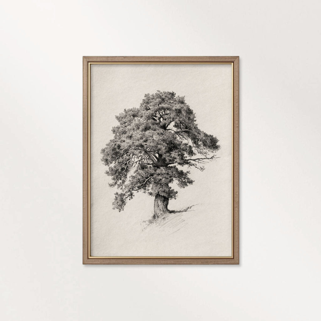 Antique Oak Tree Wall Art Printable | Minimal Botanical Pencil Sketch Print