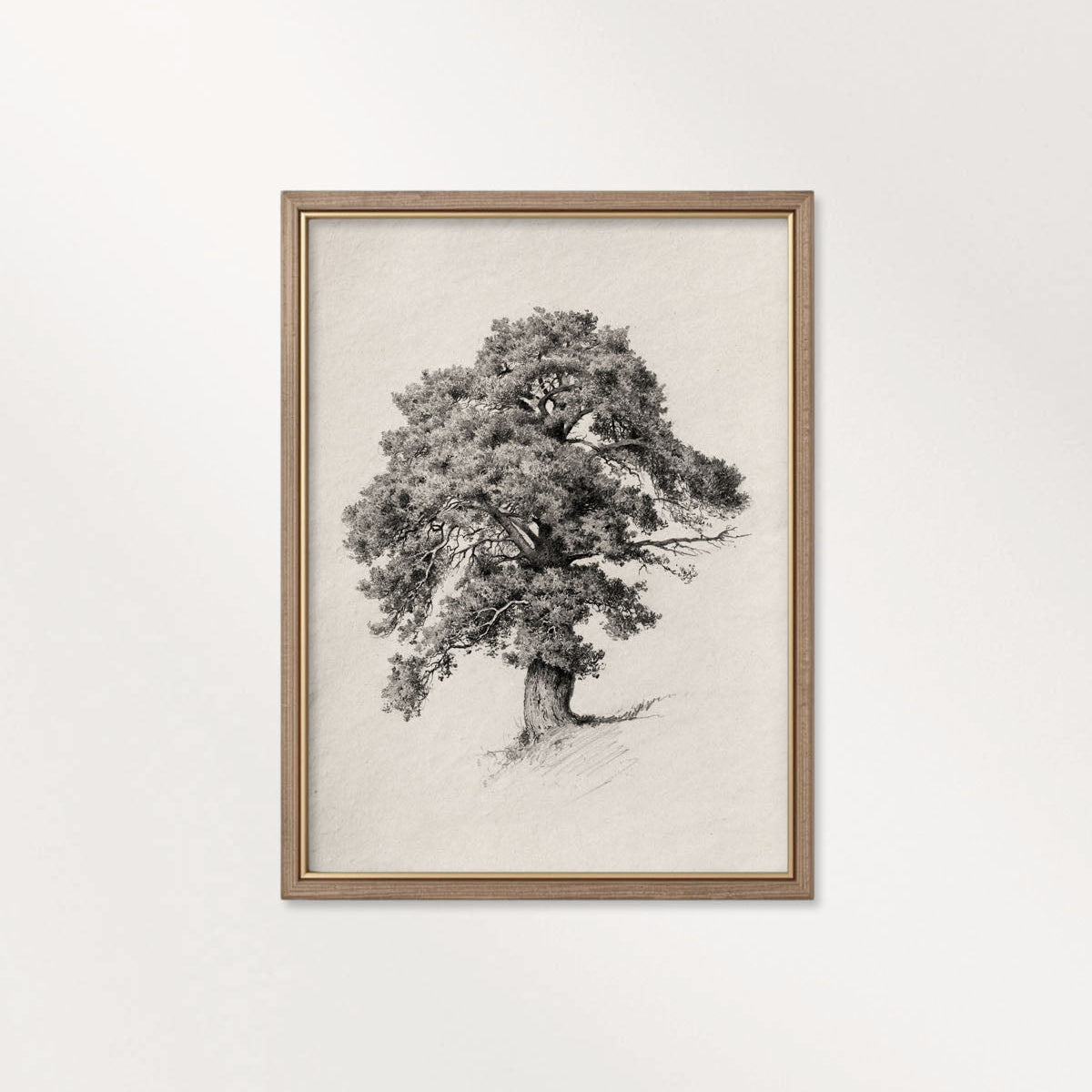 Antique Oak Tree Wall Art Printable | Minimal Botanical Pencil Sketch Print