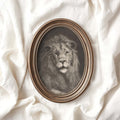 Pencil drawing lion artwork in neutral grey tones 