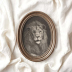 Pencil drawing lion artwork in neutral grey tones 