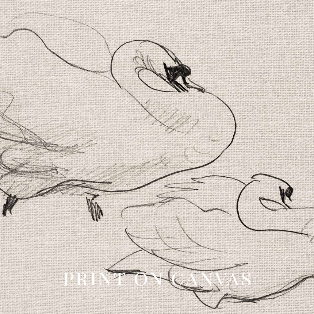 Vintage Swan Wall Art Printable | Neutral Romantic Pencil Sketch Bird Drawing