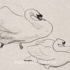 Vintage Swan Wall Art Printable | Neutral Romantic Pencil Sketch Bird Drawing