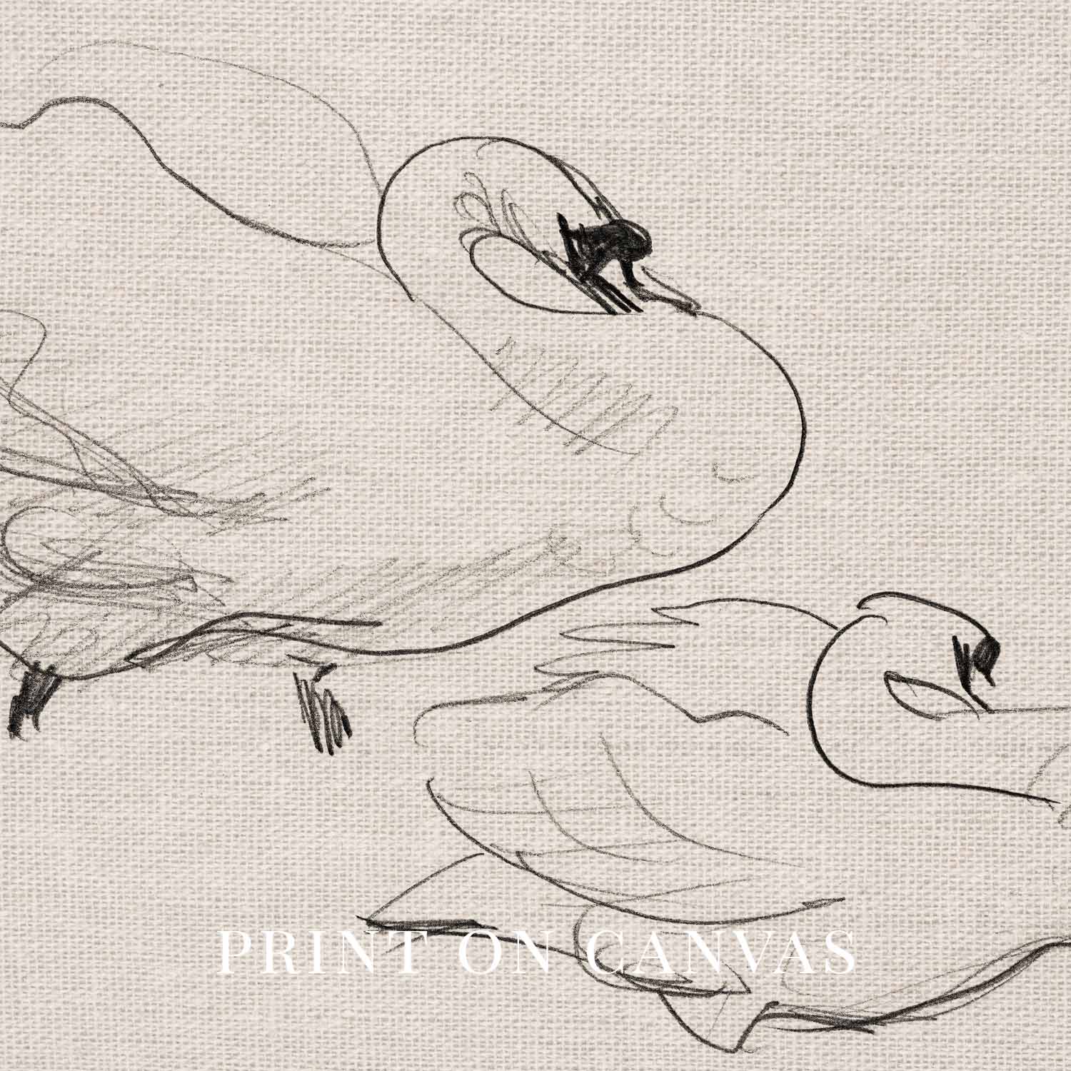 Vintage Swan Wall Art Printable | Neutral Romantic Pencil Sketch Bird Drawing