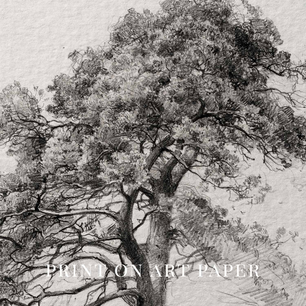 Antique Pine Tree Wall Art Printable | Minimal Botanical Pencil Sketch Print
