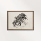 Antique Pine Tree Wall Art Printable | Minimal Botanical Pencil Sketch Print
