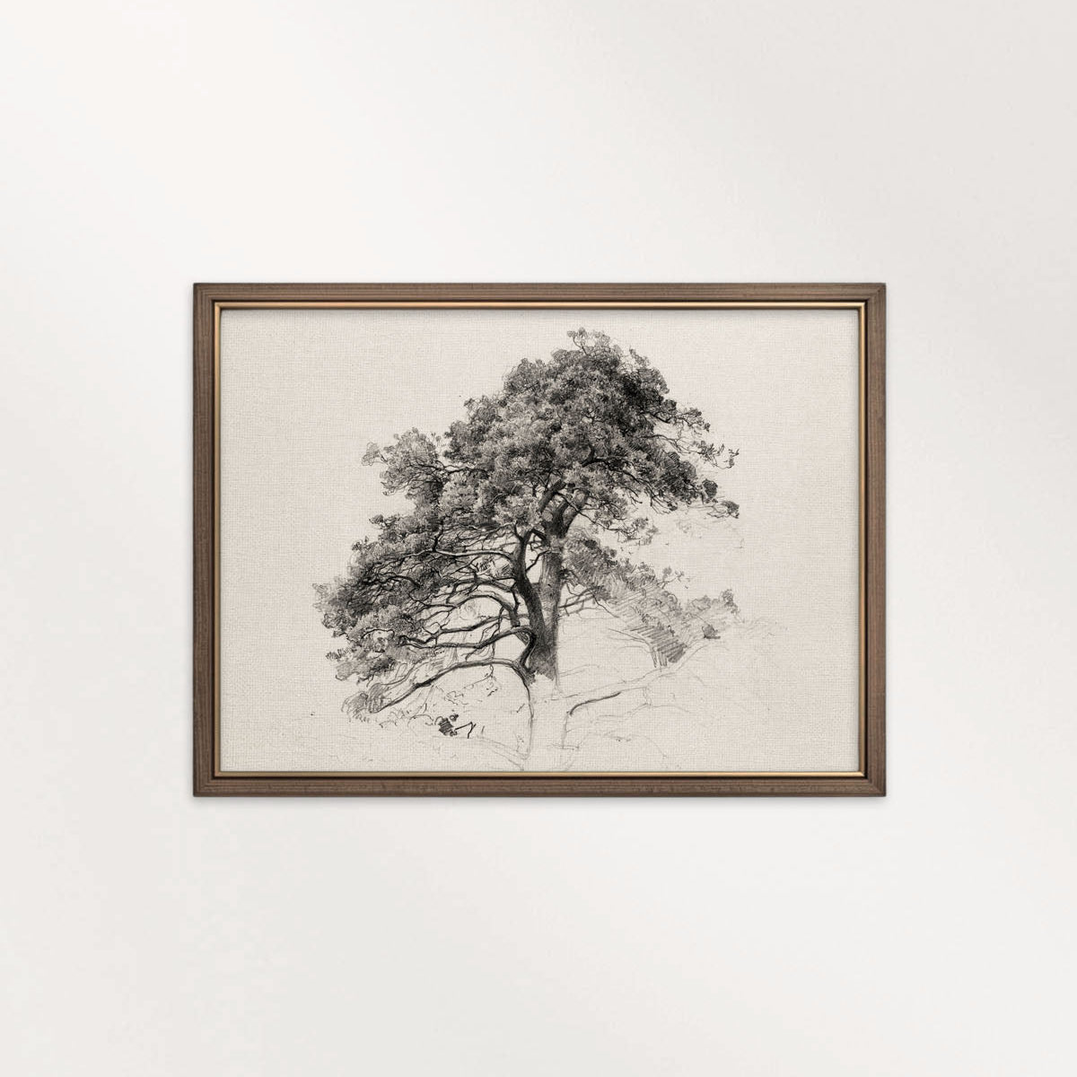 Antique Pine Tree Wall Art Printable | Minimal Botanical Pencil Sketch Print