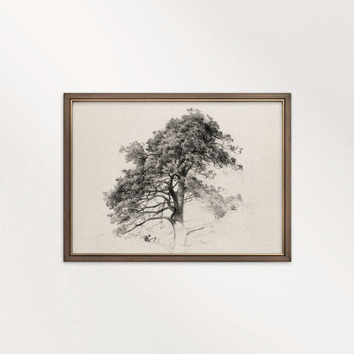 Antique Pine Tree Wall Art Printable | Minimal Botanical Pencil Sketch Print