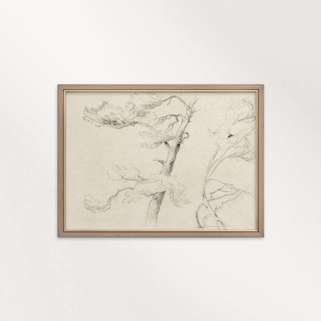 Windblown Pine Tree Wall Art Printable | Antique Minimal Pencil Sketch Print