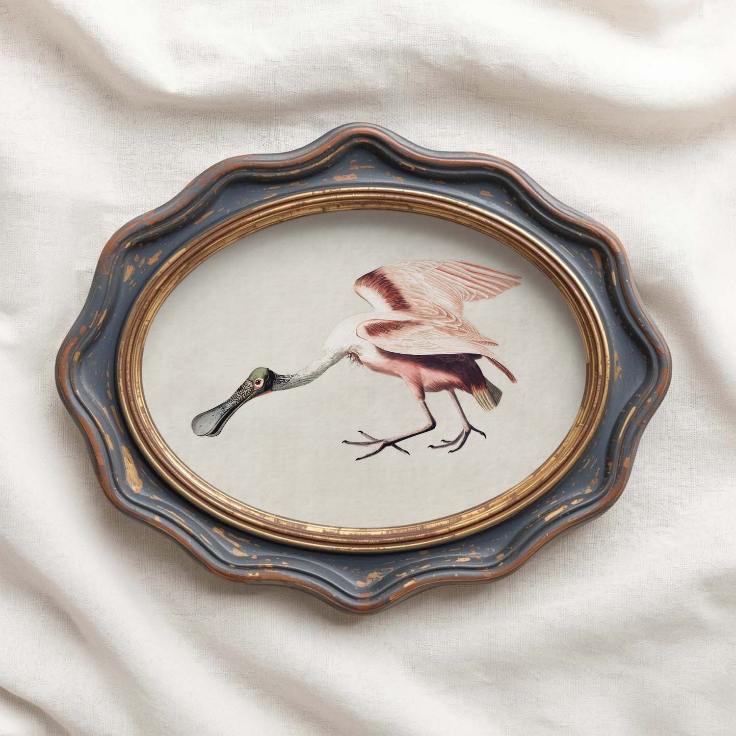 Roseate Spoonbill Bird Print Digital Download (Antique Natural History Illustration Wall Art)