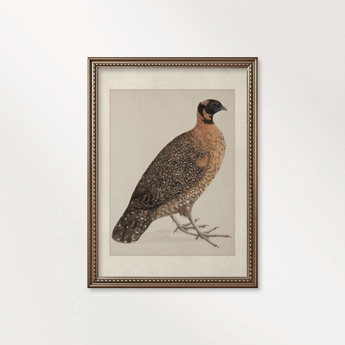 Guinea Fowl Bird Print Digital Download (Antique Ornithology Farmhouse Wall Art)