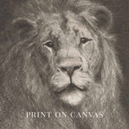 Majestic Lion Wall Art Printable | Vintage Pencil Sketch Portrait