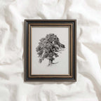 Antique Oak Tree Wall Art Printable | Minimal Botanical Pencil Sketch Print