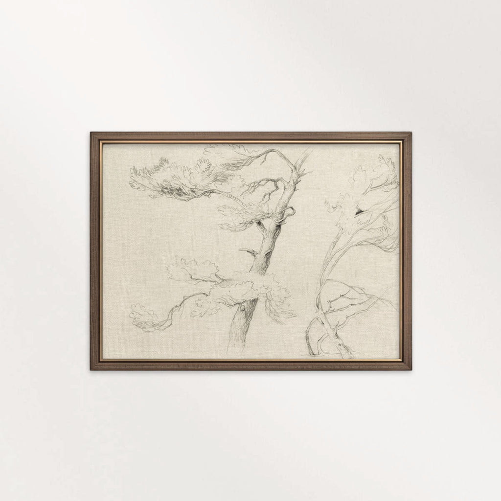 Windblown Pine Tree Wall Art Printable | Antique Minimal Pencil Sketch Print