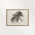 Antique Pine Tree Wall Art Printable | Minimal Botanical Pencil Sketch Print