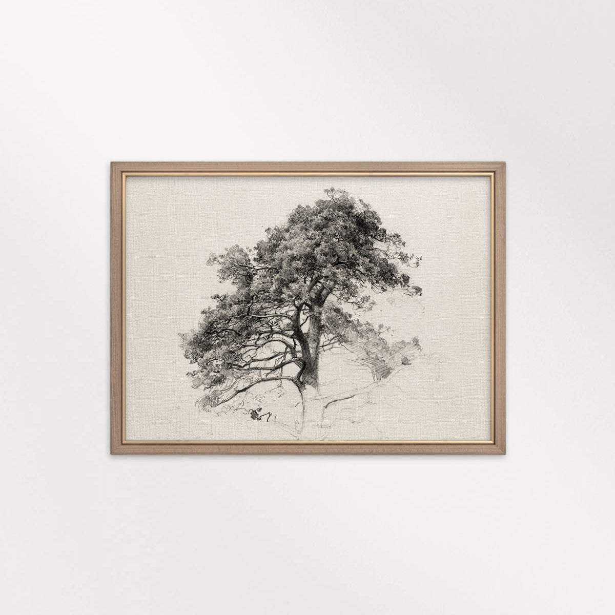 Antique Pine Tree Wall Art Printable | Minimal Botanical Pencil Sketch Print