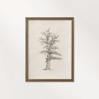 Winter Oak Tree Wall Art Printable | Antique Minimal Pencil Sketch Print