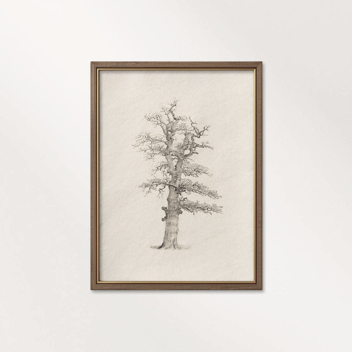 Winter Oak Tree Wall Art Printable | Antique Minimal Pencil Sketch Print