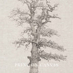 Winter Oak Tree Wall Art Printable | Antique Minimal Pencil Sketch Print