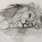 Sleeping Lion Wall Art Printable | Neutral Pencil Sketch Wildlife Print
