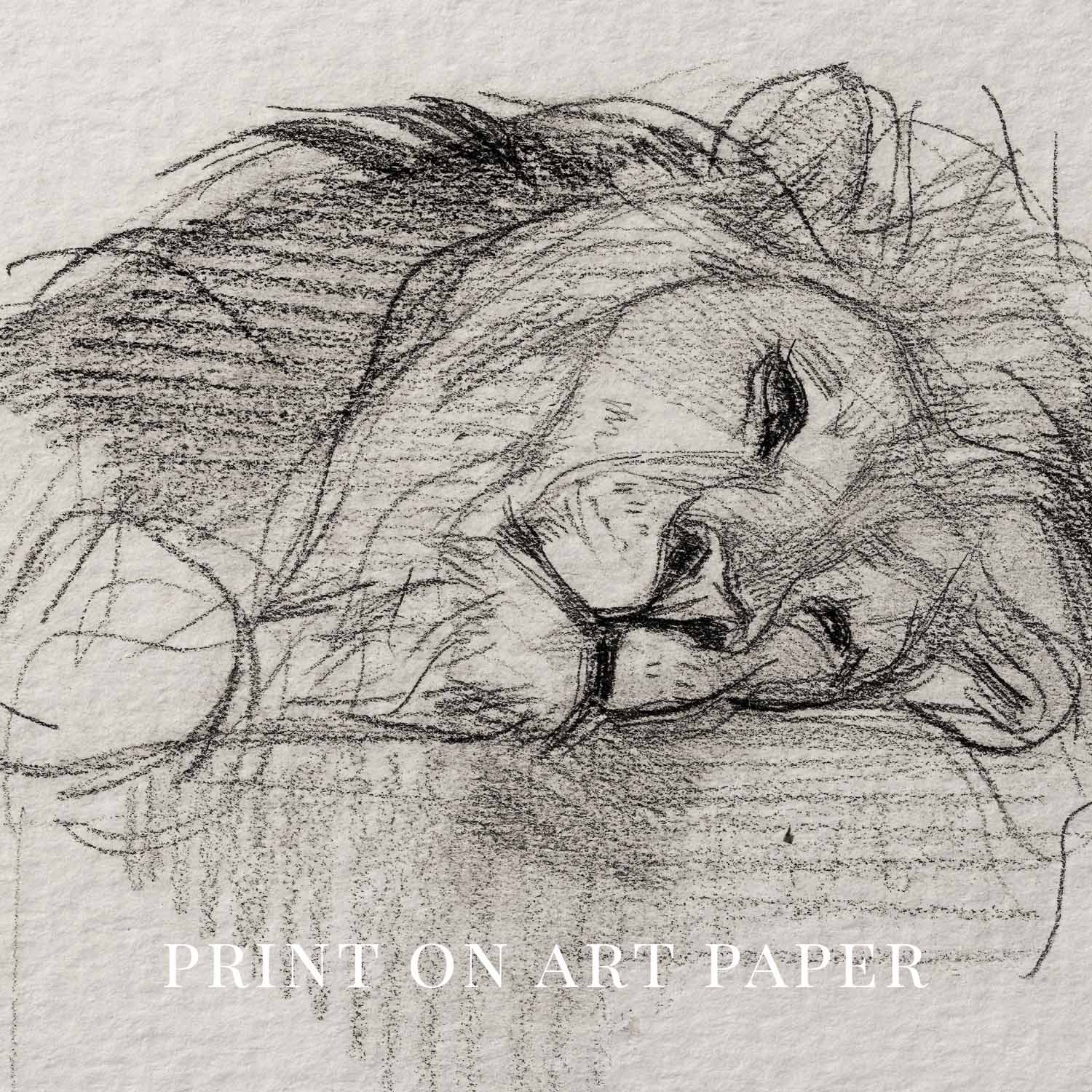 Sleeping Lion Wall Art Printable | Neutral Pencil Sketch Wildlife Print