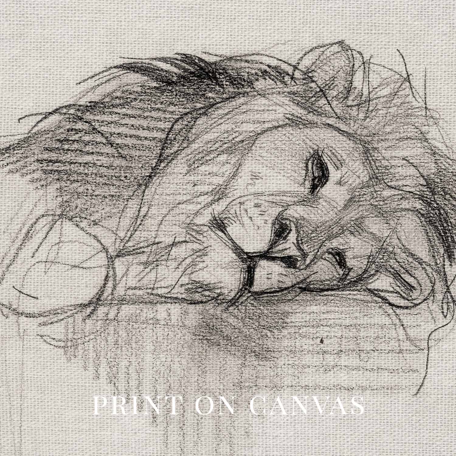 Sleeping Lion Wall Art Printable | Neutral Pencil Sketch Wildlife Print