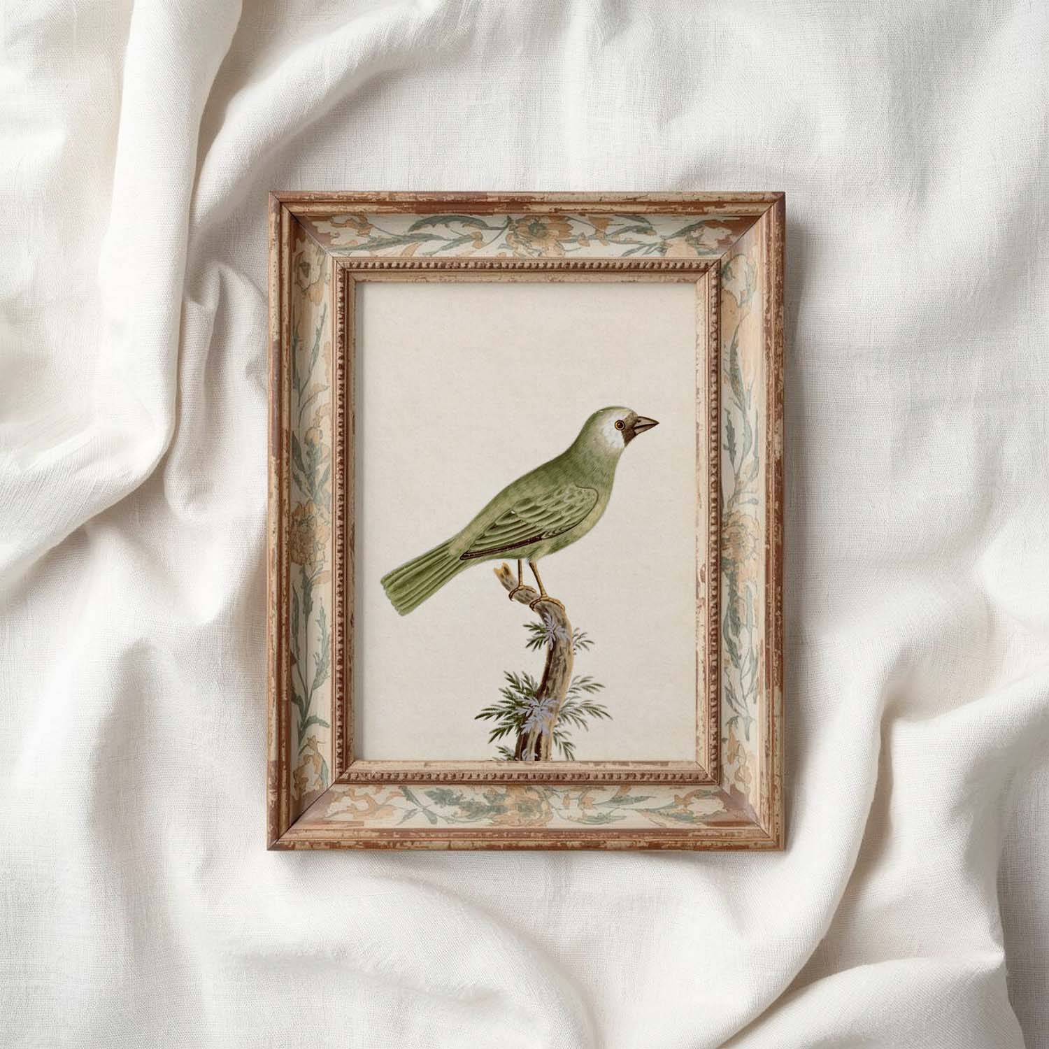 Little Green Finch Vintage Bird Print Digital Download (Cottagecore Songbird Wall Art)