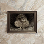 Vintage Owl Wall Art Printable – Dark Academia Bird Illustration Print