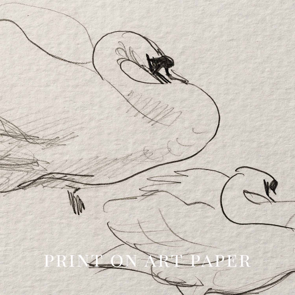 Vintage Swan Wall Art Printable | Neutral Romantic Pencil Sketch Bird Drawing