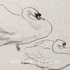 Vintage Swan Wall Art Printable | Neutral Romantic Pencil Sketch Bird Drawing