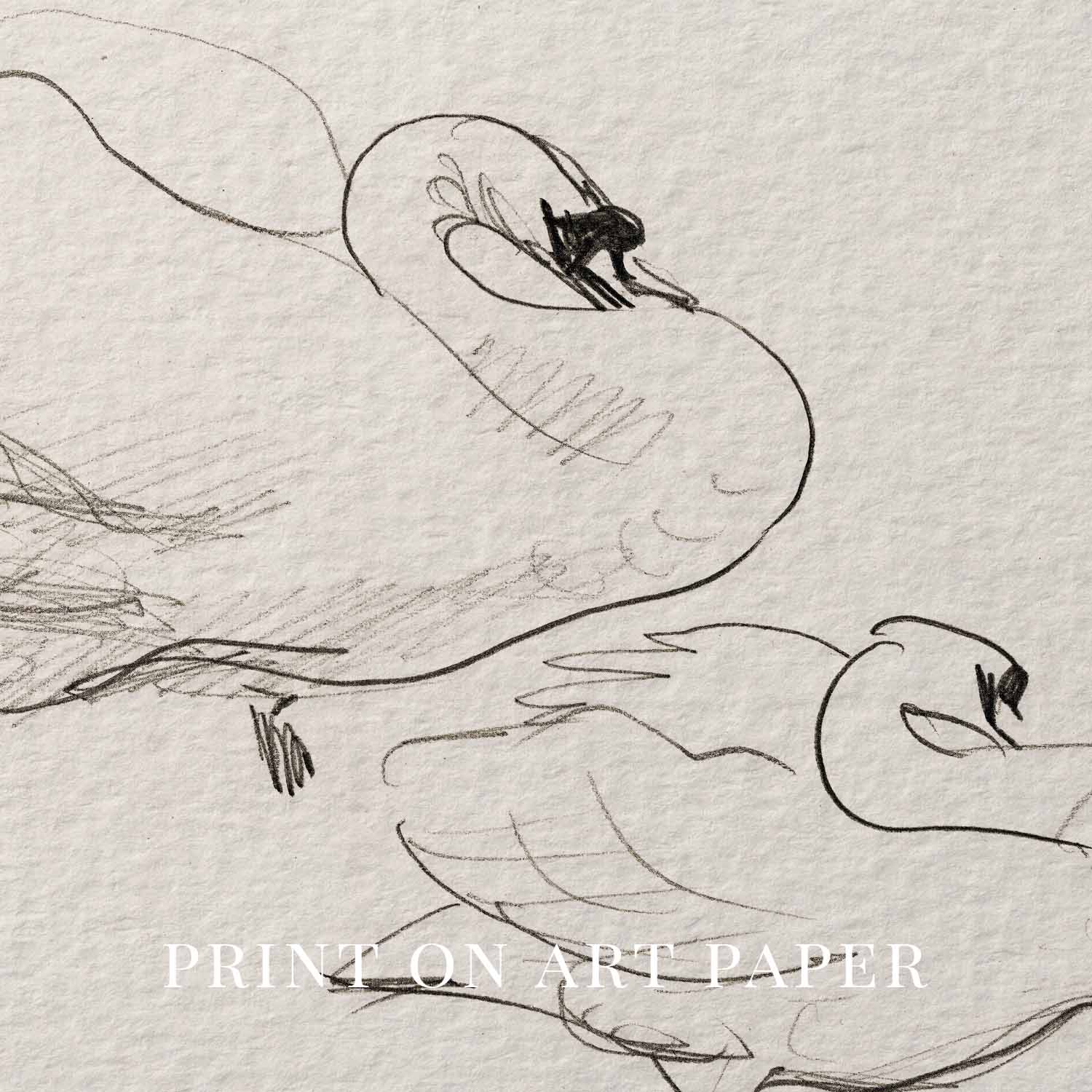 Vintage Swan Wall Art Printable | Neutral Romantic Pencil Sketch Bird Drawing