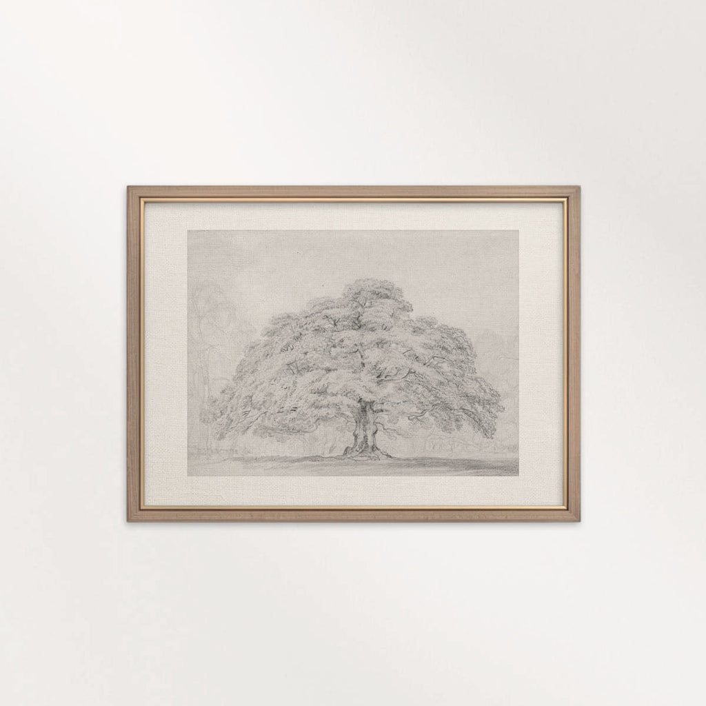 Horizontal Oak Tree Landscape Wall Art Printable | Antique Pencil Sketch Print