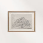 Horizontal Oak Tree Landscape Wall Art Printable | Antique Pencil Sketch Print