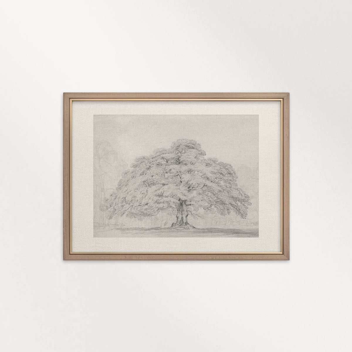 Horizontal Oak Tree Landscape Wall Art Printable | Antique Pencil Sketch Print