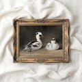 Two Smews Bird Print Digital Download (Antique Natural History Oil Painting Wall Art)