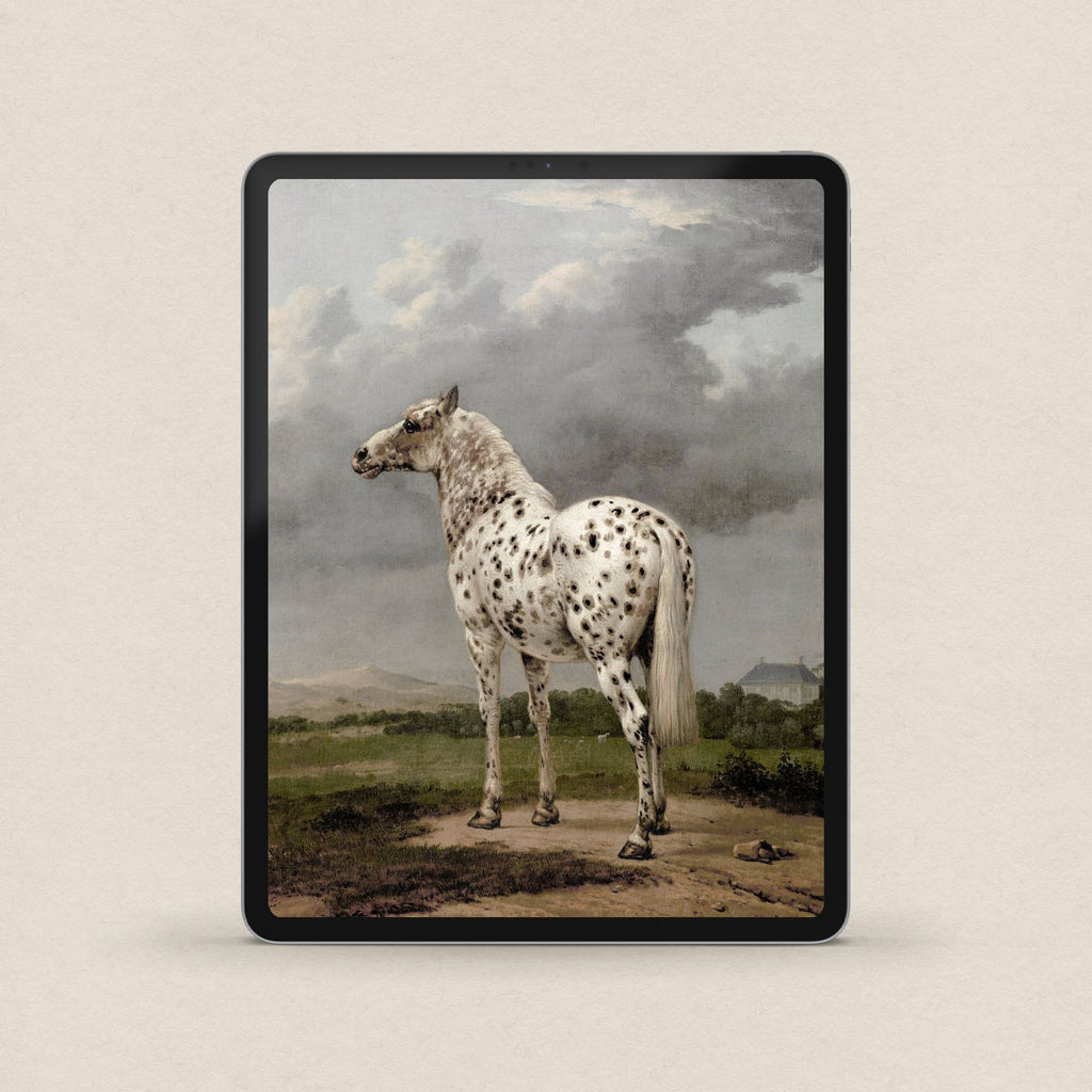 Classic Horse iPhone & iPad Wallpaper Set (Digital Download)