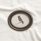 Bohemian Waxwing Vintage Bird Print Digital Download (Antique Ornithology Ink Illustration)