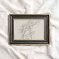 Tree Branch Wall Art Printable | Vintage Botanical Pencil Sketch Print