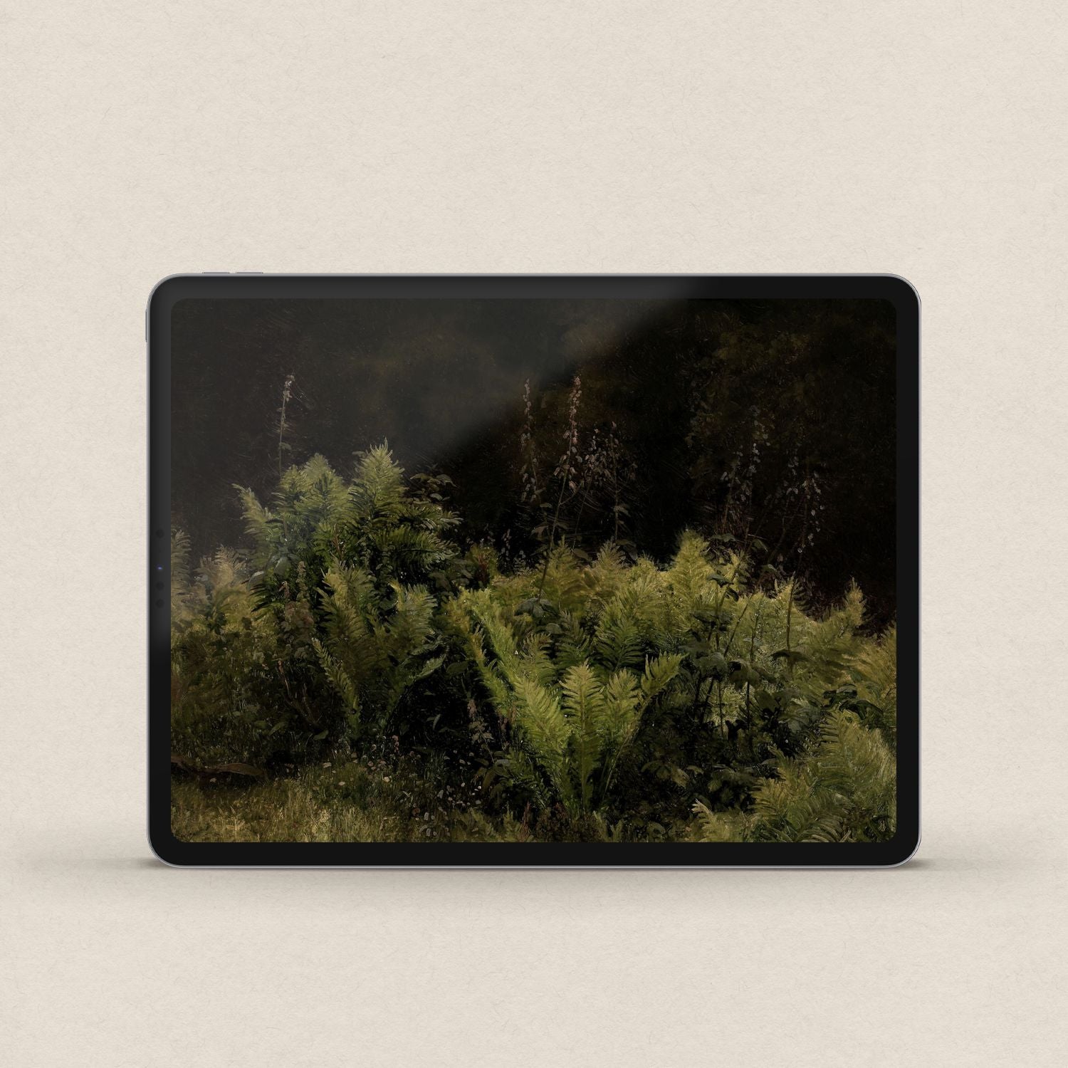 Vintage botanical fern iPad wallpaper with dark aesthetic styling and rich woodland-inspired colors.