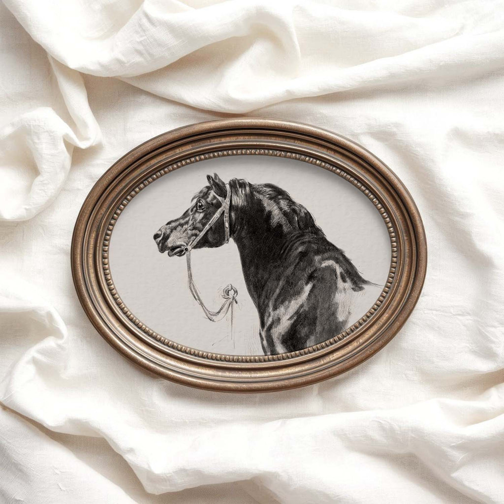 Black Horse Portrait Sketch Wall Art Printable – Antique Equestrian Study Illustration | Dark Academia Horse Decor Print