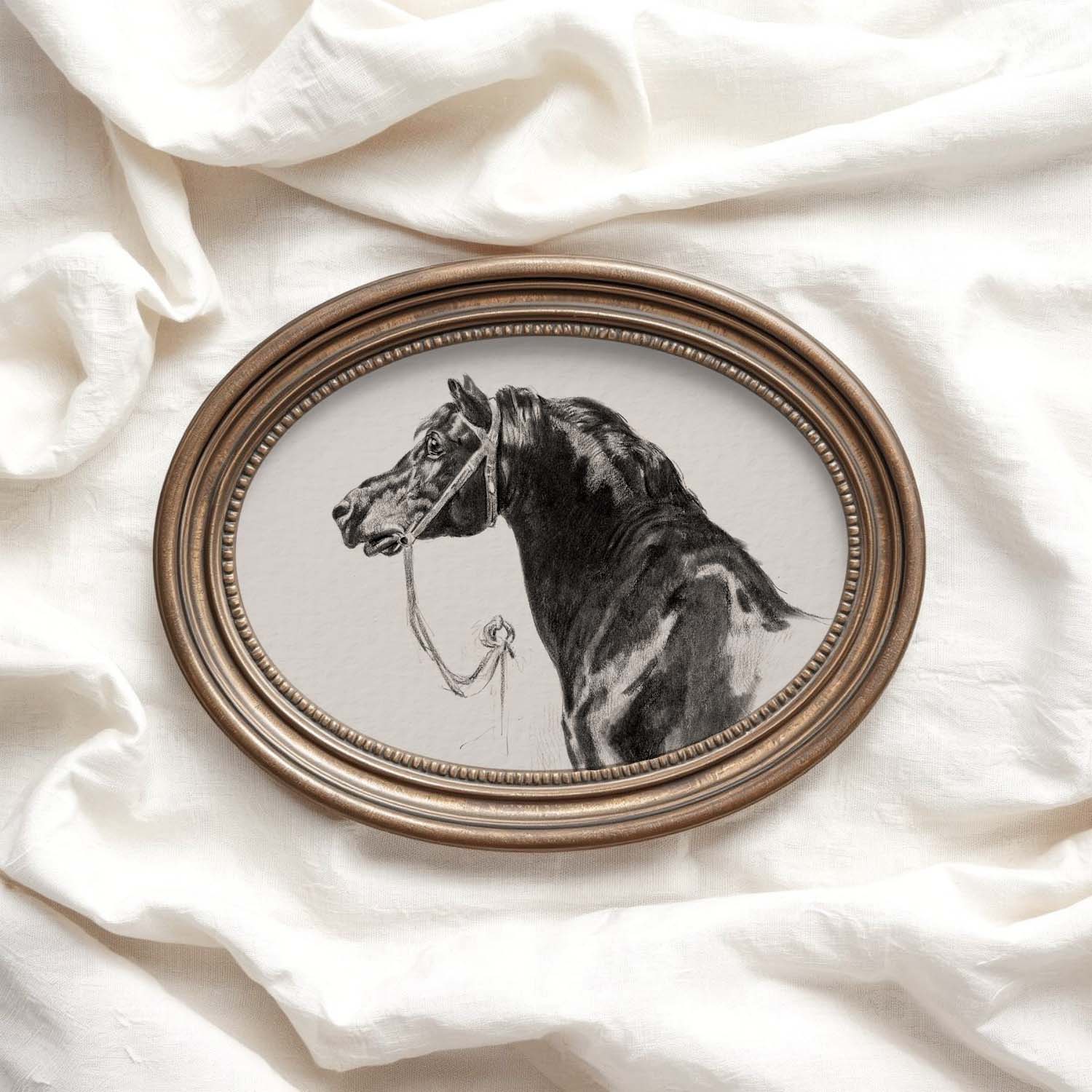 Black Horse Portrait Sketch Wall Art Printable – Antique Equestrian Study Illustration | Dark Academia Horse Decor Print